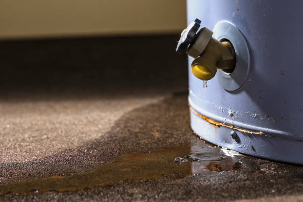 Best Local water damage restoration  in Millington, TN