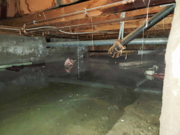 Water damage restoration insurance claims in Millington, TN