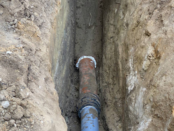 Best Sewage cleanup and water damage restoration  in Millington, TN
