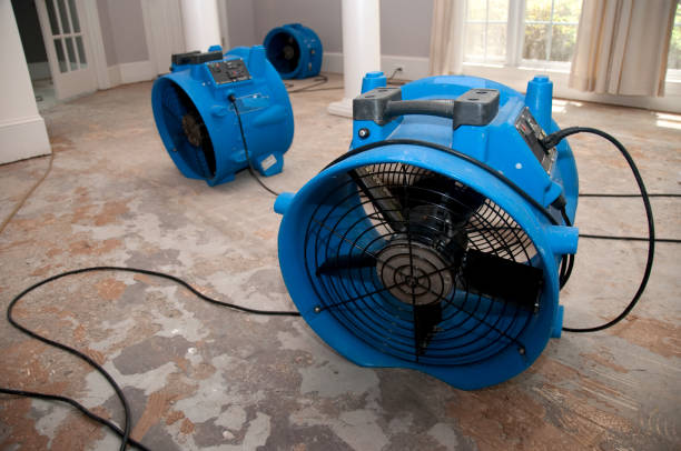 Best Water damage restoration near me  in Millington, TN