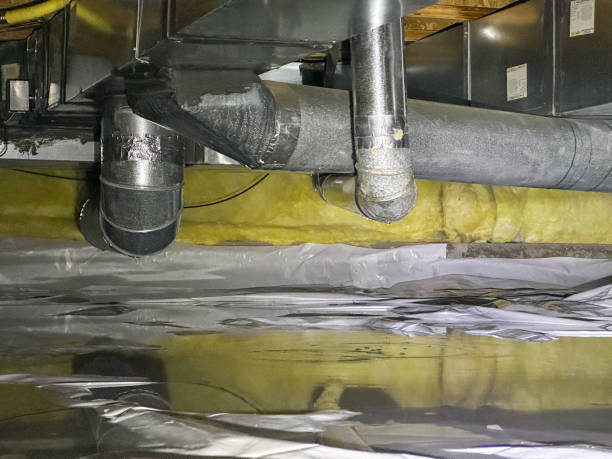 Local water damage restoration in Millington, TN