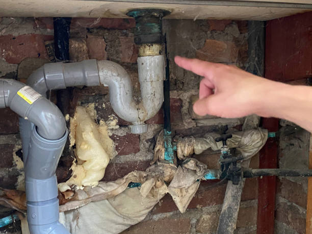 Best Mold removal after water damage  in Millington, TN
